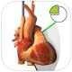 Guia Virtual d'Ecocardiografia Transesofàgica